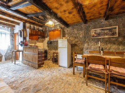 Holiday house Rustical Resort Kokorići/Shared Pool - One Bedroom - Features photo 6