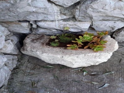 Holiday house Haus mit drei Schlafzimmern und Terrasse - Outdoor photo 40