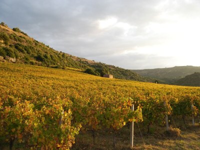 Holiday house Relaxing Bosa Stay with Veranda - Environment photo 30