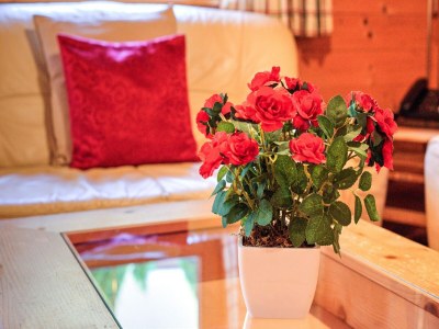 Holiday park Holiday Village Wildschönau Chalet with Terrace - Outdoor photo 25