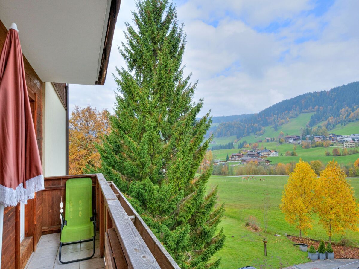 Holiday park Wildschönau Alpine Vicky Apartment - Outdoor photo 3