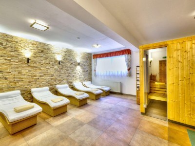 Holiday park Bright Vicky Apartment with infrared sauna - Features photo 33