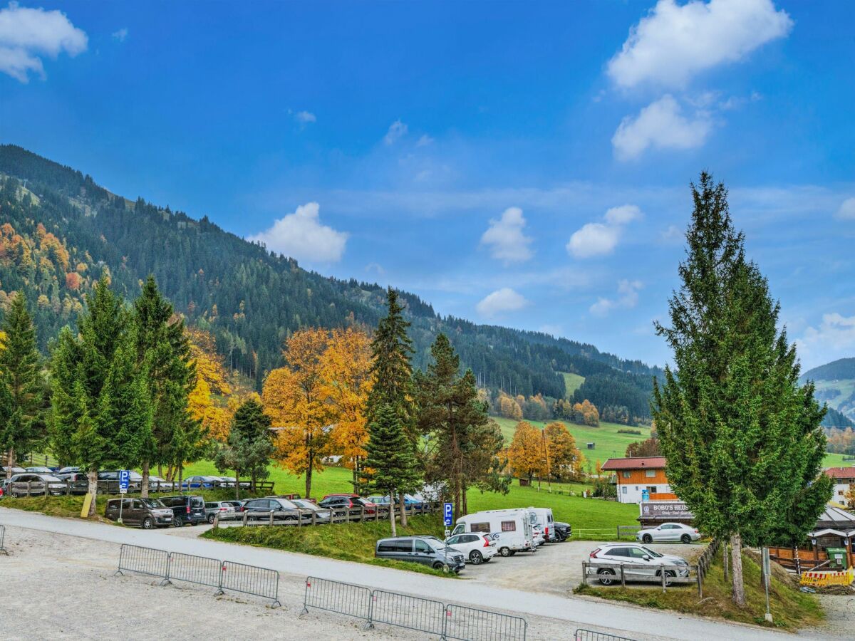 Holiday park Brunner Apartment on the ski slope - Outdoor photo 3