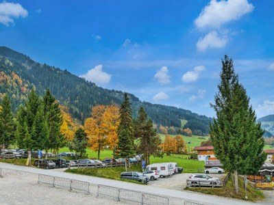 Holiday park Brunner Apartment on the ski slope - Outdoor photo 3