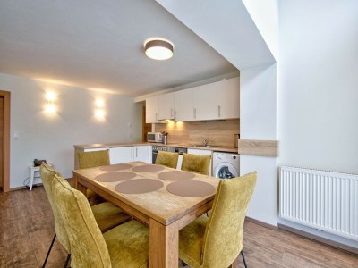 Holiday park Ski-in, ski-out Brunner Apartment, Wildschönau - Features photo 21