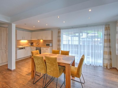 Holiday park Wildschönau Alpine Ski Brunner Apartment - Features photo 18