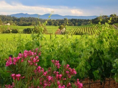 Villa Villa in Le Muy mit Pool und See - Environment photo 26