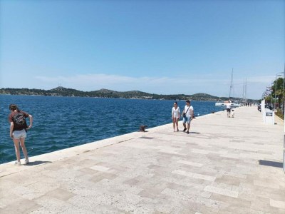 Apartment Gemütliches Studio-Apartment in Grebaštica - Environment photo 18