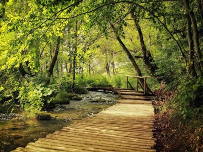 Apartment Apartment in the coastal town of Grebastica - Environment photo 32