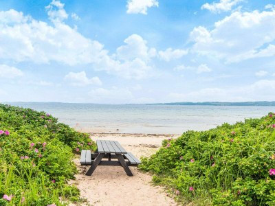 Holiday house 5 Sterne Ferienhaus in Ebeltoft - Outdoor photo 16