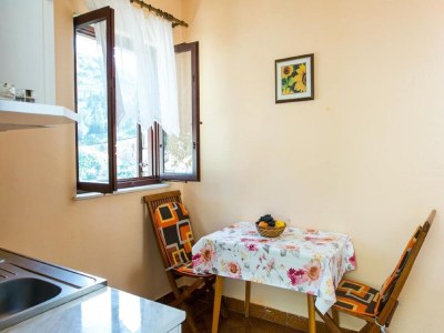 Apartment Apartments Neve - One-Bedroom Apartment with Balcony and Sea View - Features photo 10