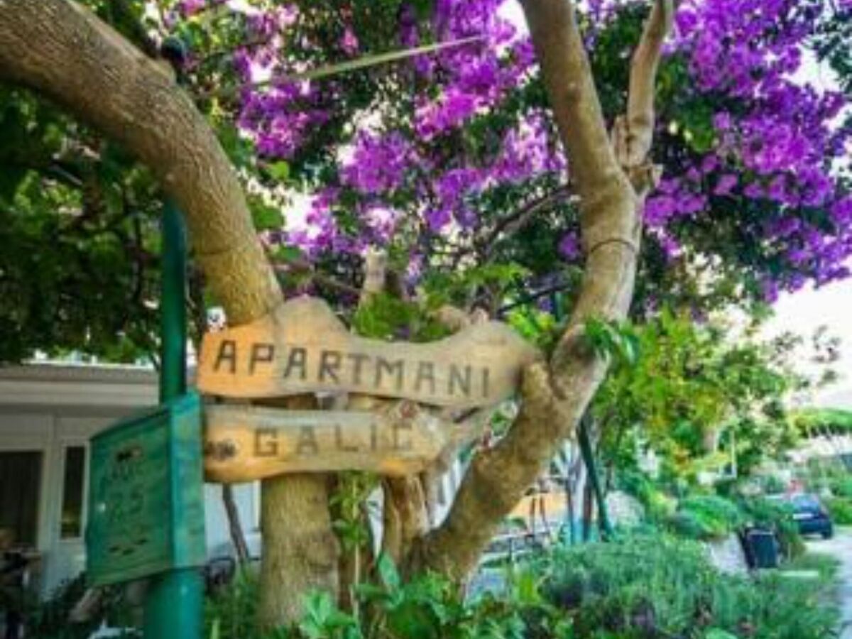 Apartment One-Bedroom Apartment With Lake View - Outdoor photo 2