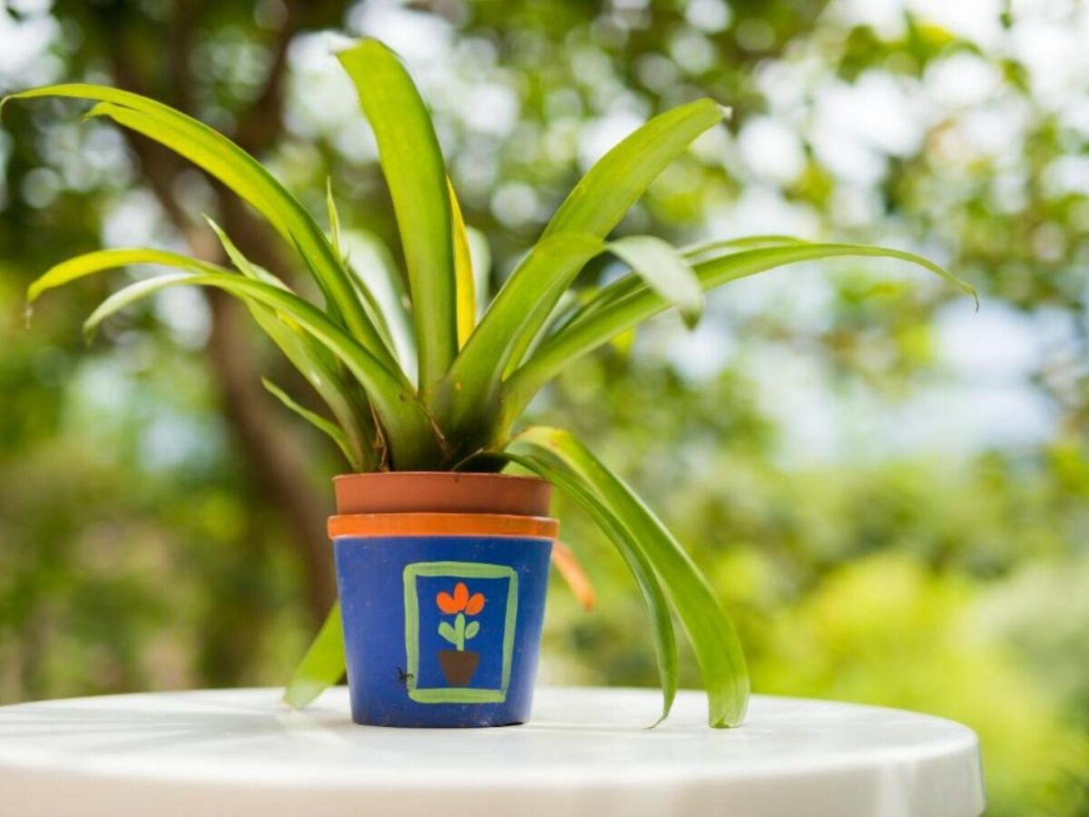 Apartment One-Bedroom Apartment With Lake View - Outdoor photo 5