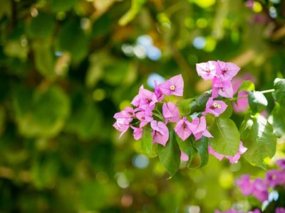 Apartment One-Bedroom Apartment With Lake View - Outdoor photo 41