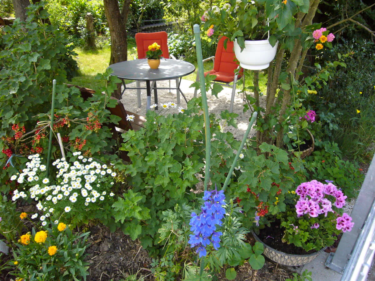 Holiday apartment "Ferienwohnung Eifelblick in Schüller" - Outdoor photo 4