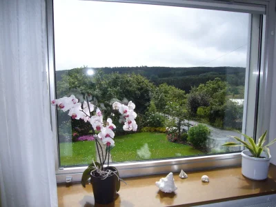 Holiday apartment "Ferienwohnung Eifelblick in Schüller" - Features photo 16