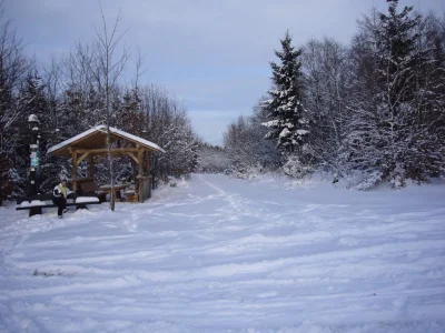 Holiday apartment "Ferienwohnung Eifelblick in Schüller" - Environment photo 20