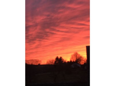 Holiday apartment "Ferienwohnung Eifelblick in Schüller" - Environment photo 21