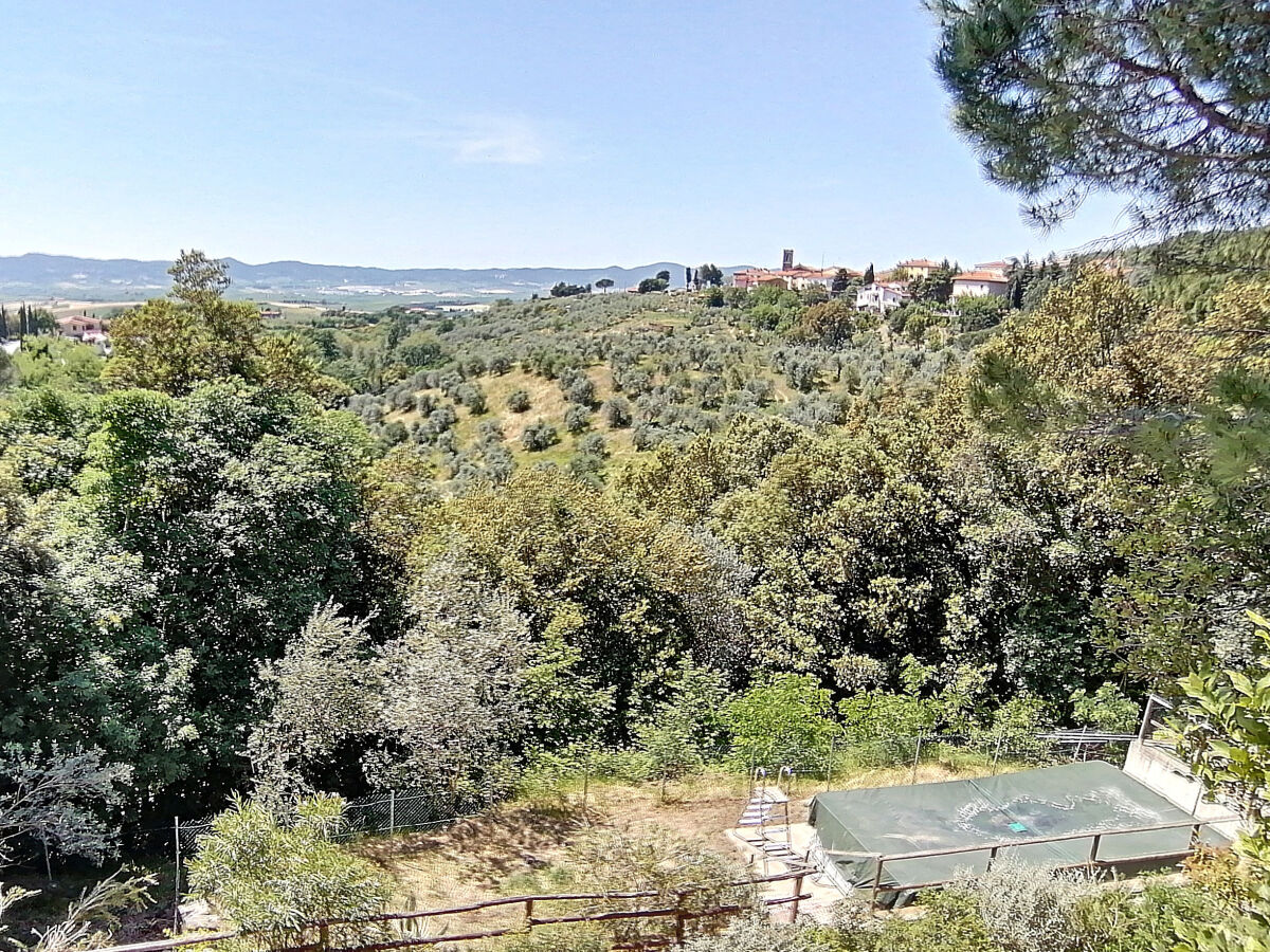 Holiday apartment Glühwürmchen 4 - Outdoor photo 5