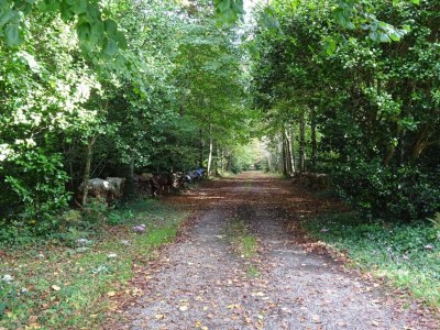 Holiday house Apartment in Bénodet near Sandy Beaches - Environment photo 16