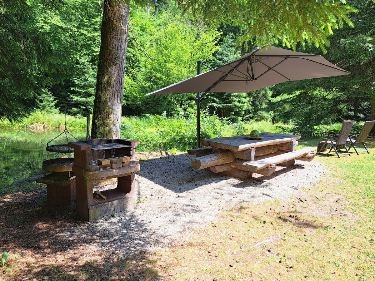 Apartment Wohnung im Elsass mit Naturparadies