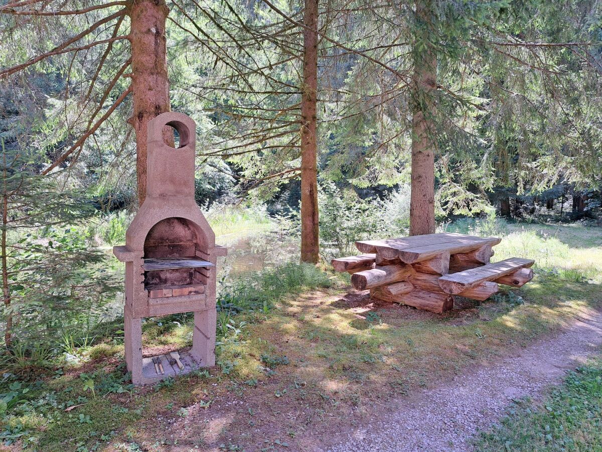 Apartment Wohnung im Elsass mit Naturparadies - Outdoor photo 4