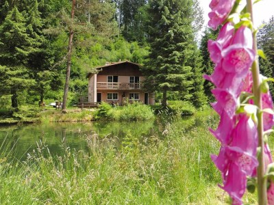 Apartment Wohnung im Elsass mit Naturparadies - Outdoor photo 6