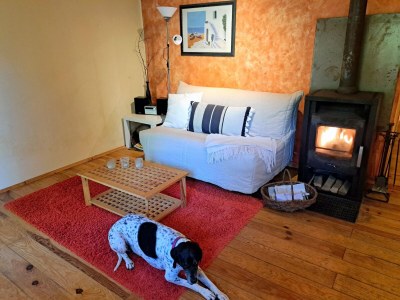 Apartment Wohnung im Elsass mit Naturparadies - Features photo 10