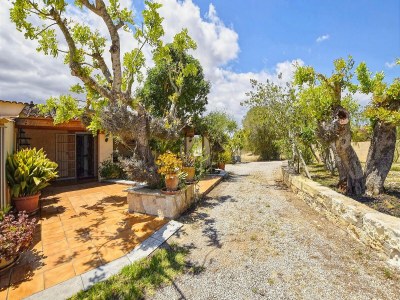 Holiday house Finca auf Mallorca mit Pool und Aussicht - Environment photo 24