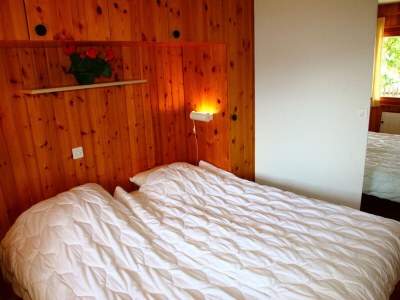 Chalet Eanta SUNNY & MOUNTAIN chalet 10 pers - Features photo 11