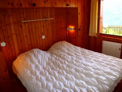 Chalet Eanta SUNNY & MOUNTAIN chalet 10 pers - Features photo 14