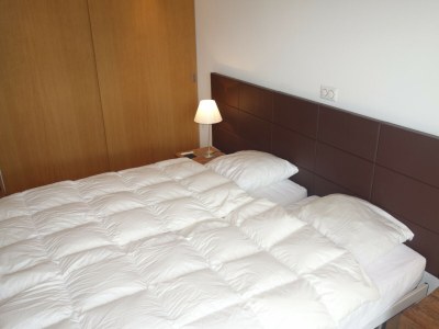 Apartment Ski Paradise SP 011 - MOUNTAIN apartment 6 pers - Features photo 18