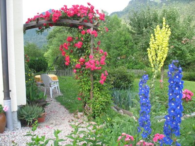 Holiday apartment Kaiserblick - Outdoor photo 8