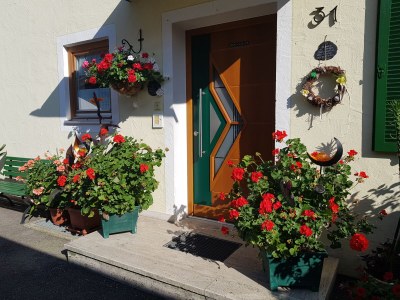 Holiday apartment Kaiserblick - Outdoor photo 10