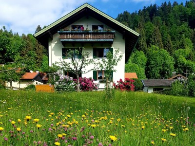 Holiday apartment Kaiserblick - Outdoor photo 11