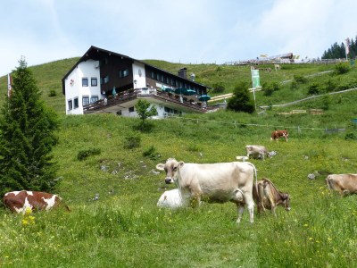 Holiday apartment Kaiserblick - Environment photo 33