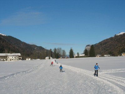 Holiday apartment Kaiserblick - Environment photo 34