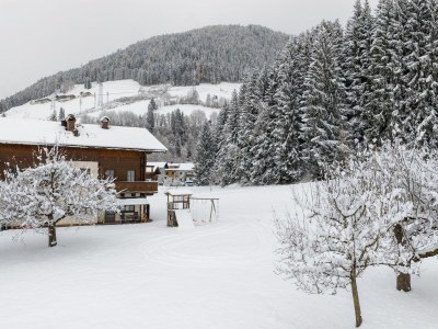 Apartment Wohnung in Mittersill mit Bergblick - Environment photo 31