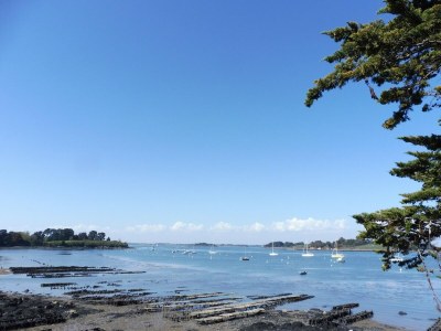 Holiday house Haus in der Bretagne nahe Stränden - Environment photo 23