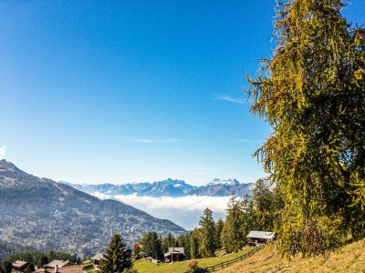 Apartment Pracondu 1 002 - OUTDOOR & FUN  charming apartment - Environment photo 13