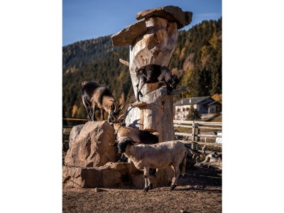 Chalet No title - Features photo 16