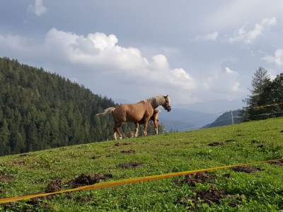 Chalet No title - Features photo 18