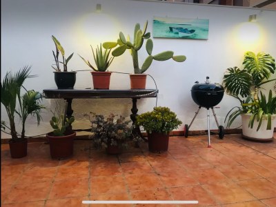 Holiday apartment Penthouse-Terrace-Pool - Features photo 14