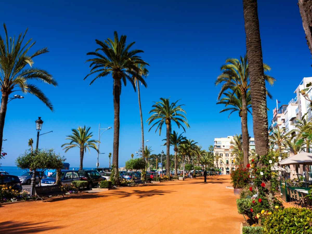 Apartment Wohnung in Calella nahe dem Strand - Outdoor photo 3