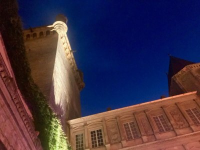 Apartment Heated Pool Apartment in Uzes - Environment photo 27