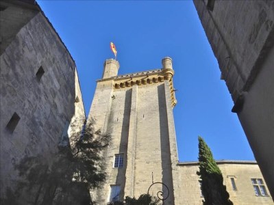 Apartment Heated Pool Apartment in Uzes - Environment photo 28