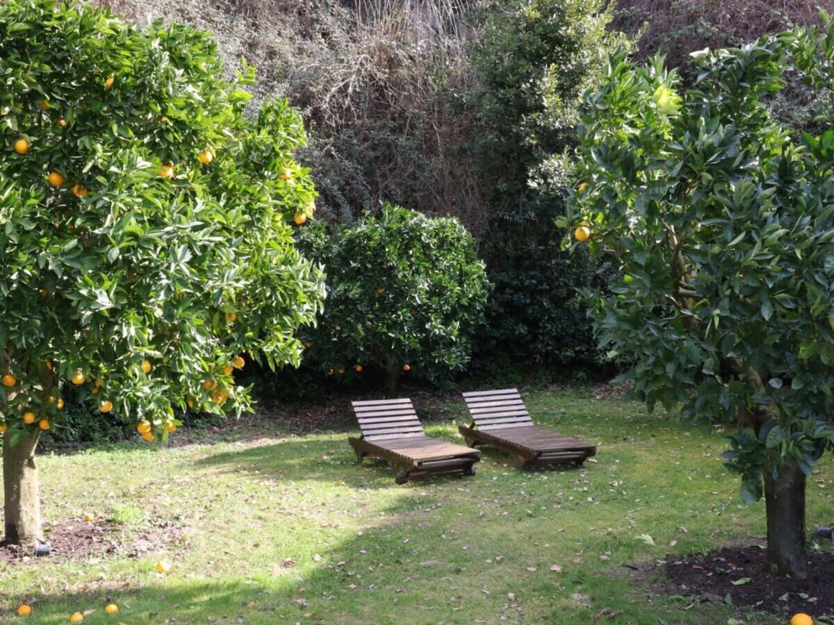 Apartment Vinarte, eine wunderschöne Villa und ein Weingut - Outdoor photo 5