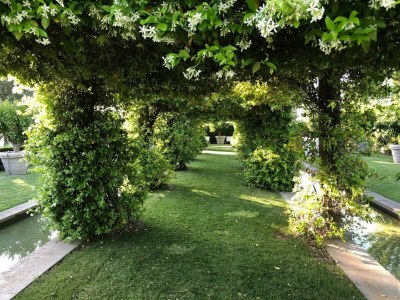 Apartment Vinarte, eine wunderschöne Villa und ein Weingut in Castiglione in Teverina - Apartment