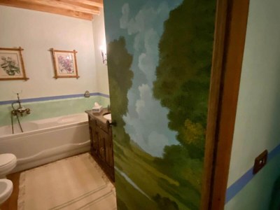 Apartment Vinarte, eine wunderschöne Villa und ein Weingut - Features photo 32