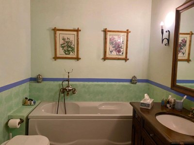 Apartment Vinarte, eine wunderschöne Villa und ein Weingut - Features photo 33